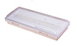 Cabin neon Emergency light 6W 3H
